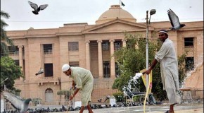 SHC rejects plea against Murtaza Jatoi’s fake degree
