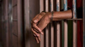 Three more Pakistanis with fake documents jailed